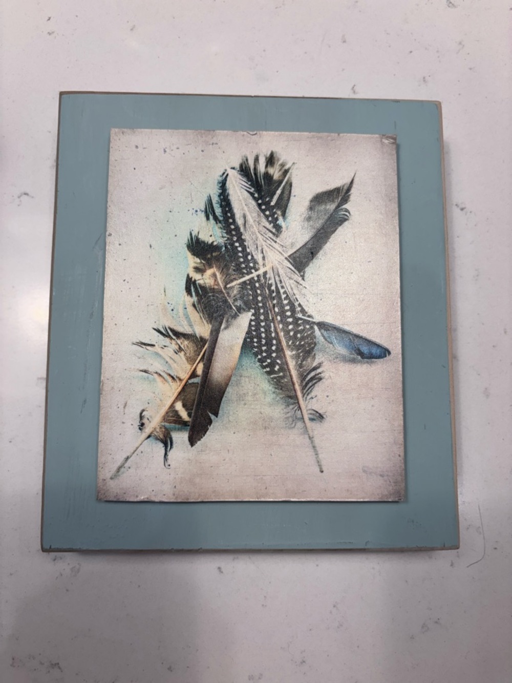 Feather Artwork Print with Light Blue Frame Accent